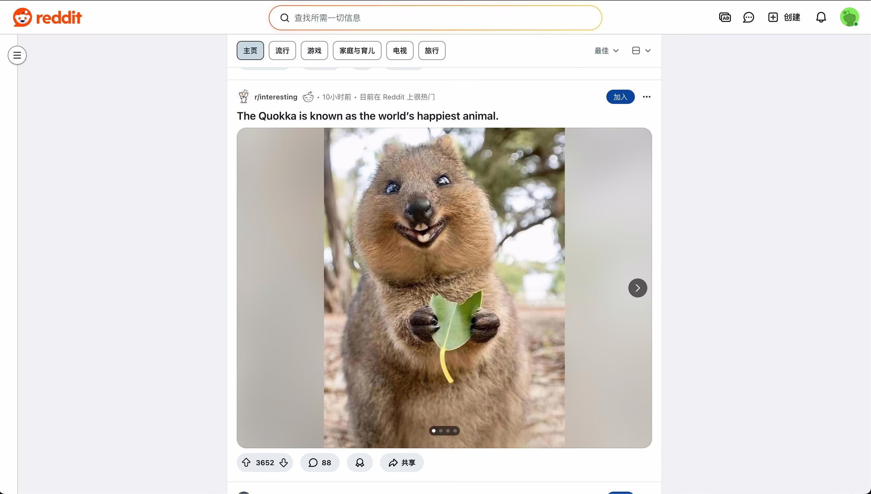 AI资讯：Reddit改版后的单列瀑布流界面
