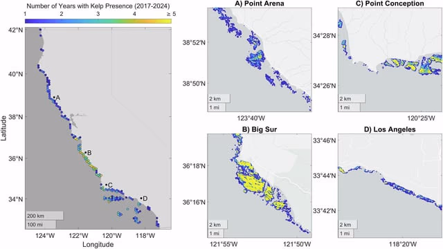 AI资讯：AI结合卫星地图识别加州沿岸海藻林分布细节